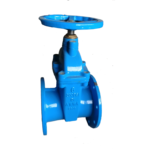 Tozen Gate Valve FT 150ansi 6in (150mm) Cebu Oversea Builders Centre